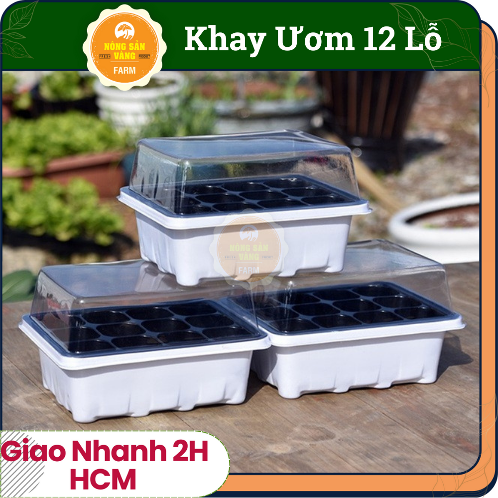 Professional 12 hole seed nursery tray with lid keep seed sprout seeds sprout well, seedlings with lid protect seeds from insect eating-shallow yellow
