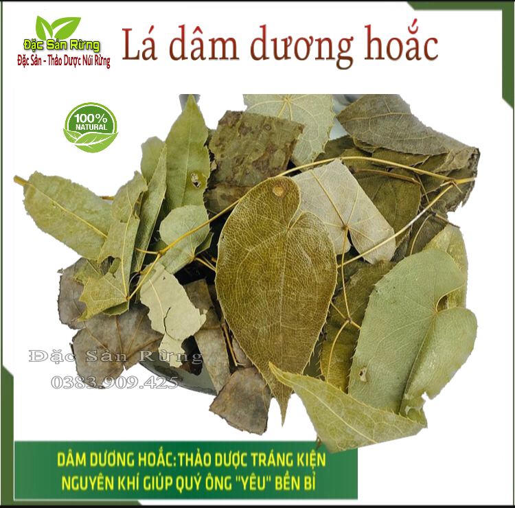 Lá dâm dương hoắc - bổ thận , tăng sinh lý