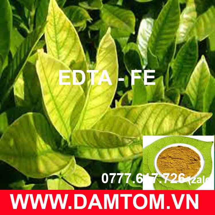 Phân vi lượng sắt Chelate (Fe-EDTA-13) GÓI 1kg