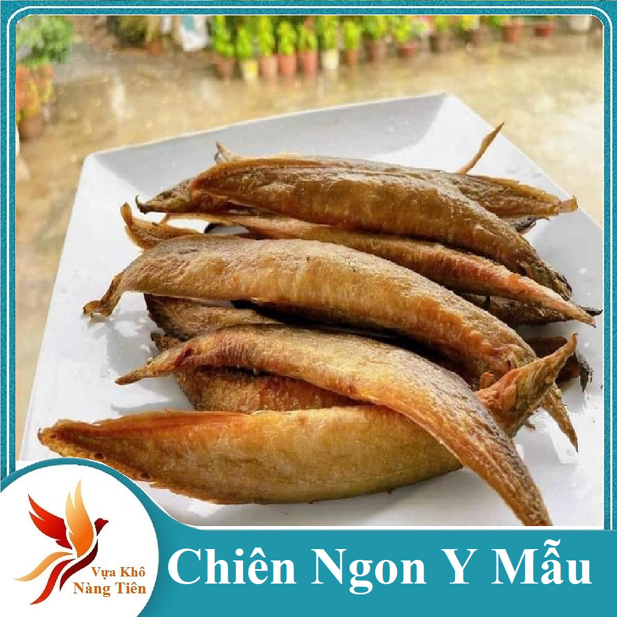 Khô Cá Chạch Đặc sản Nhân Sâm Dưới Nước - ĐẶC SẢN MINH TRIẾT