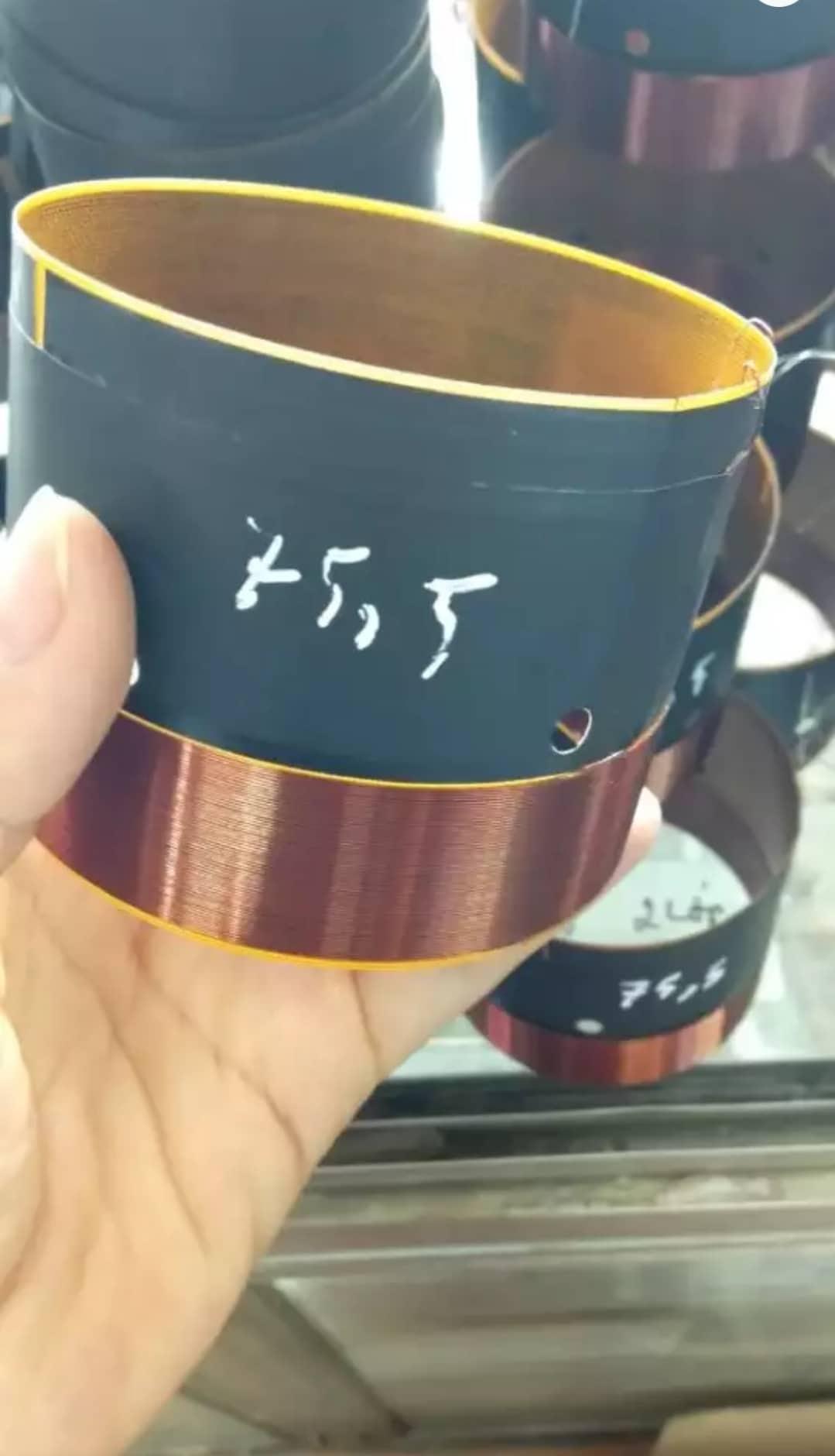 Côn loa phip 75,5 2 lớp