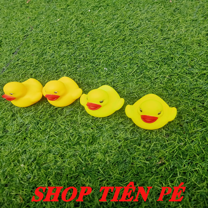 COMBO 4 CON VỊT GẮN PÔ E