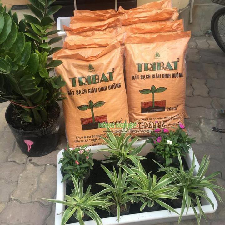 Đất sạch Tribat dinh dưỡng cho cây
