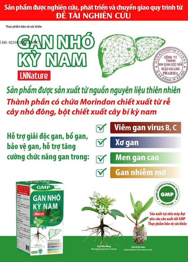 gan nhó kỳ nam - date mới 2026