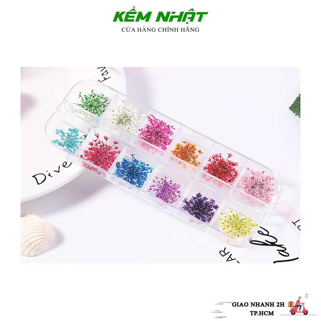 Hoa khô chùm ẩn gel