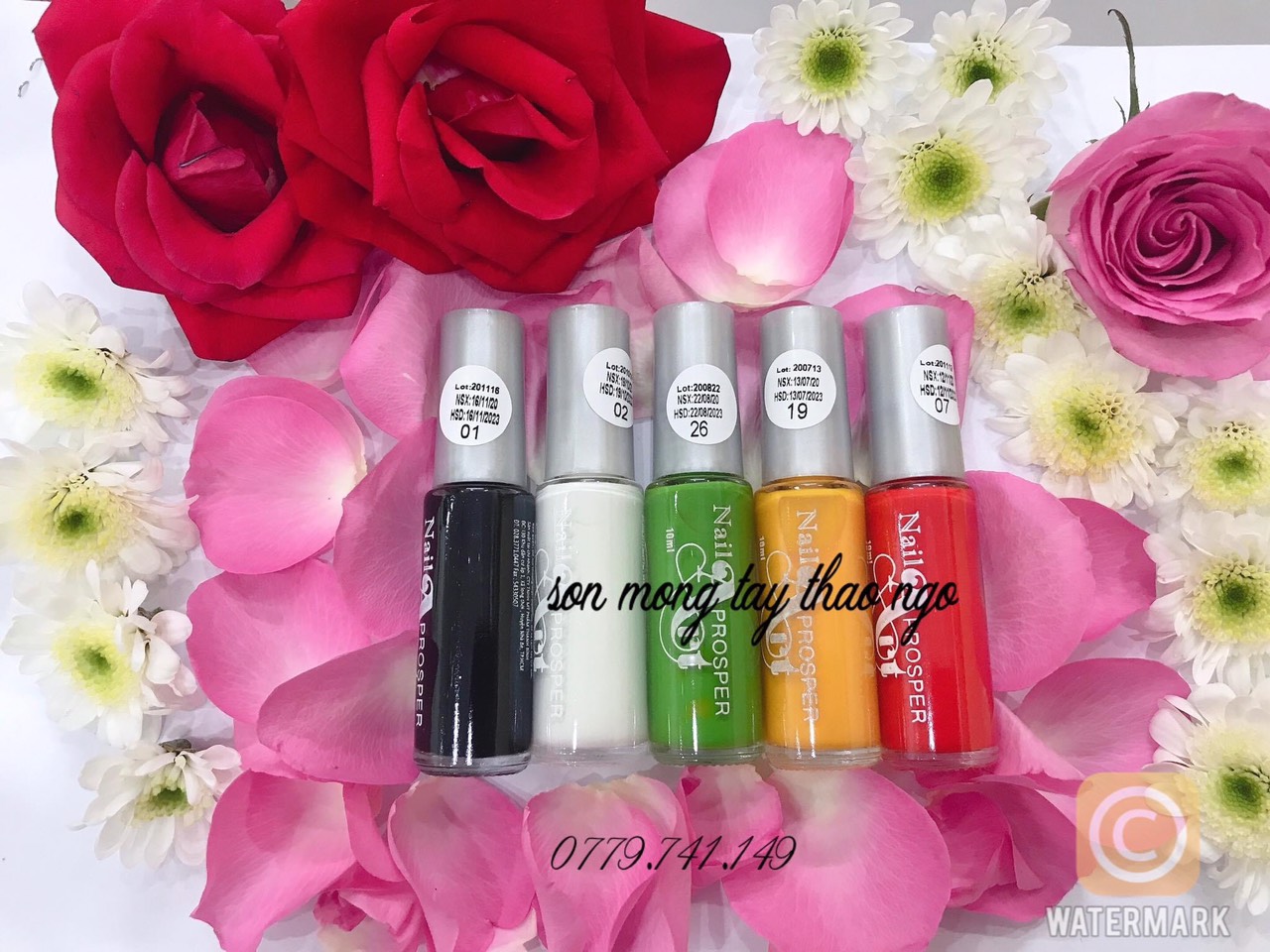 Cọ nét vẽ móng dành cho sơn thường 10ml