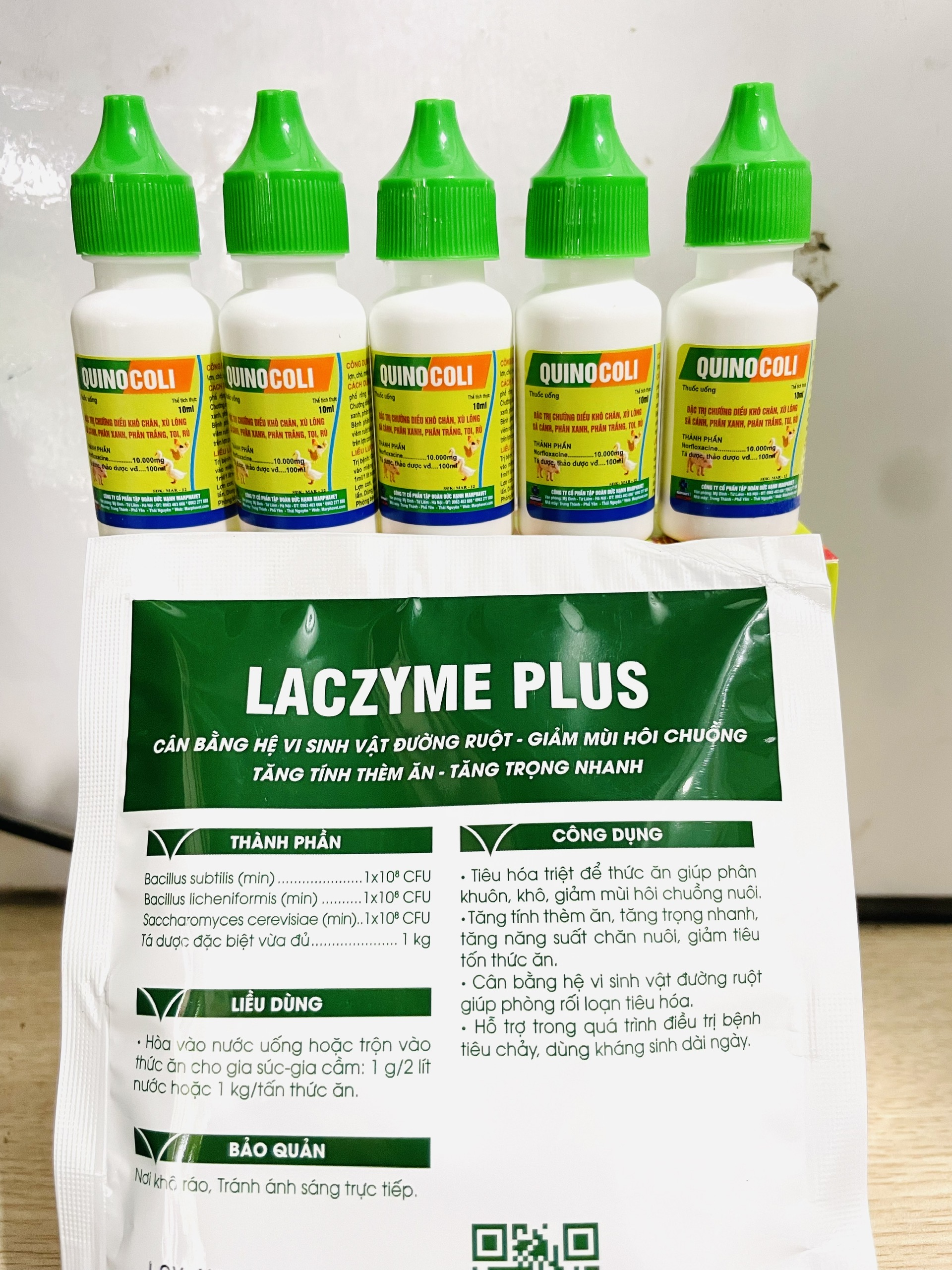 Combo 3LọQuinocoli(10ml)+Men tiêu hoá Medivet Laczyme Plus(100g) phân xanh, phân trắng, chướng diều khô chân