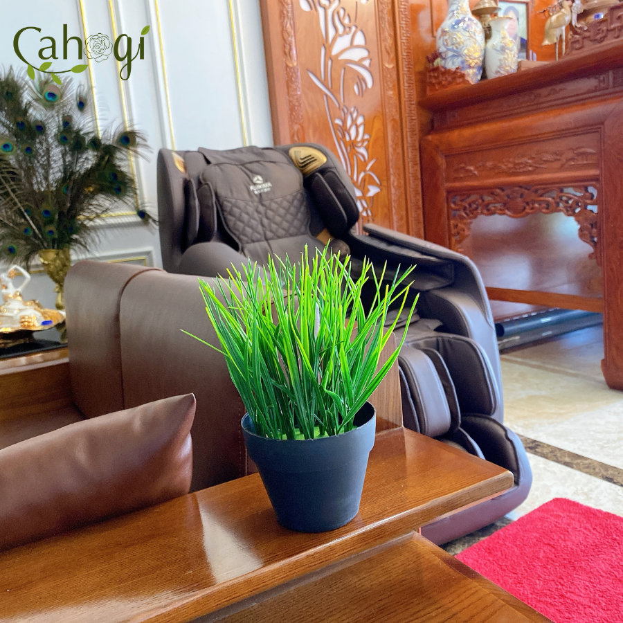 Chậu Cây Giả Chậu Lúa Mạ Non Cắm Sẵn