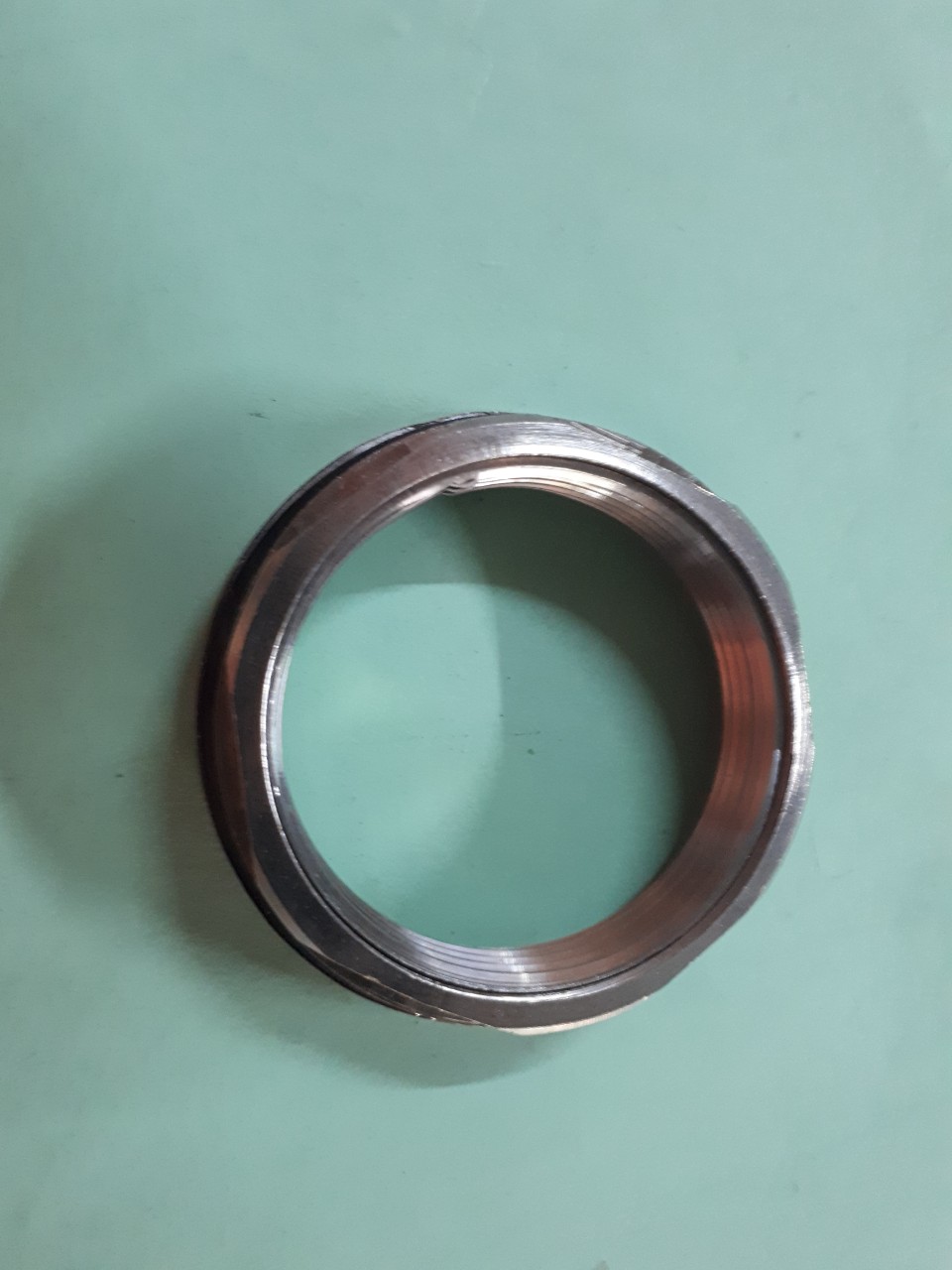 Ren Bồn Nước