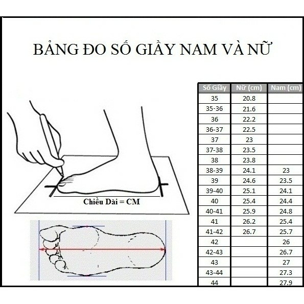 [HCM]Giày Thể Thao Nam Asia  đế Cao 4CM