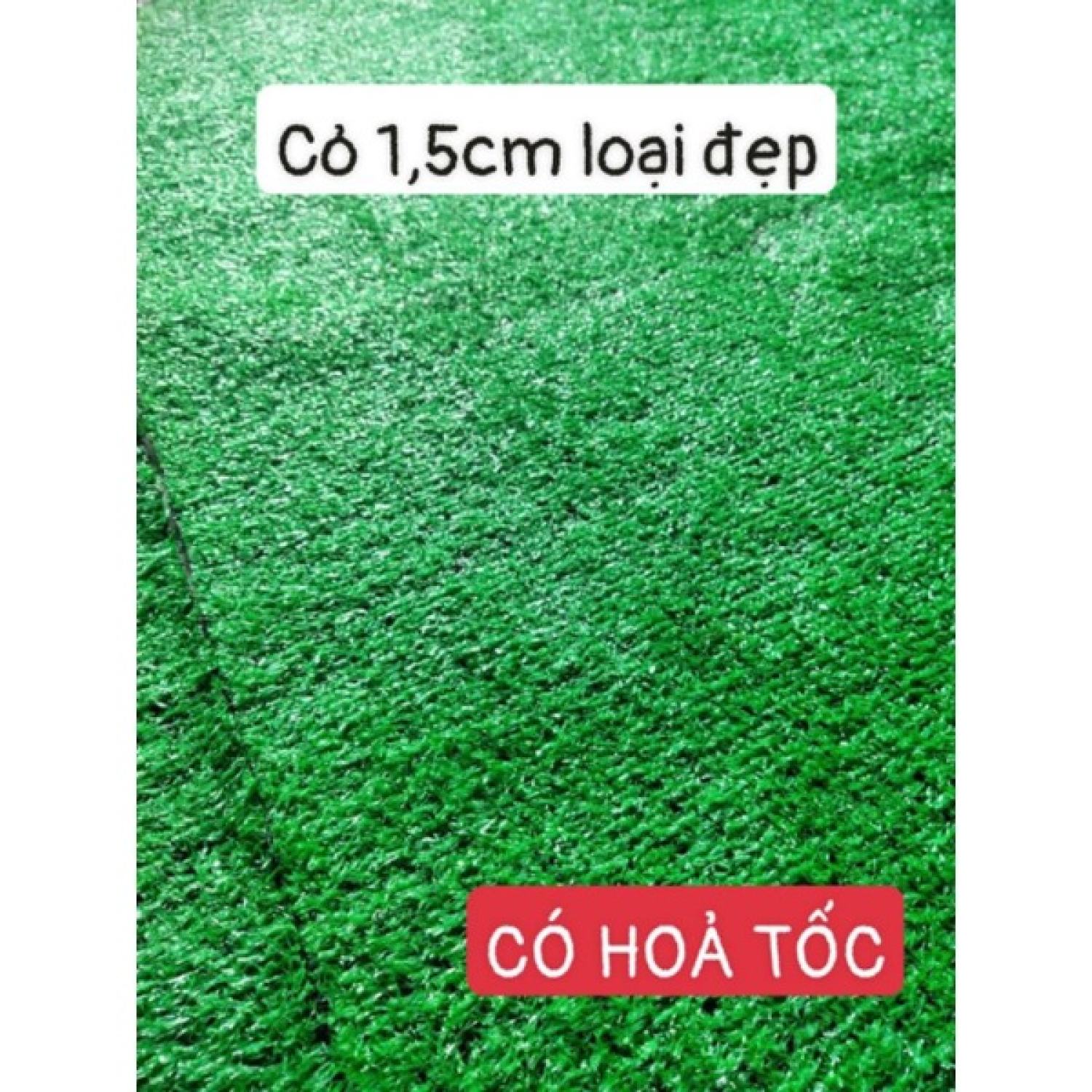 Combo 10m2 thảm cỏ 1.5cm loại đẹp
