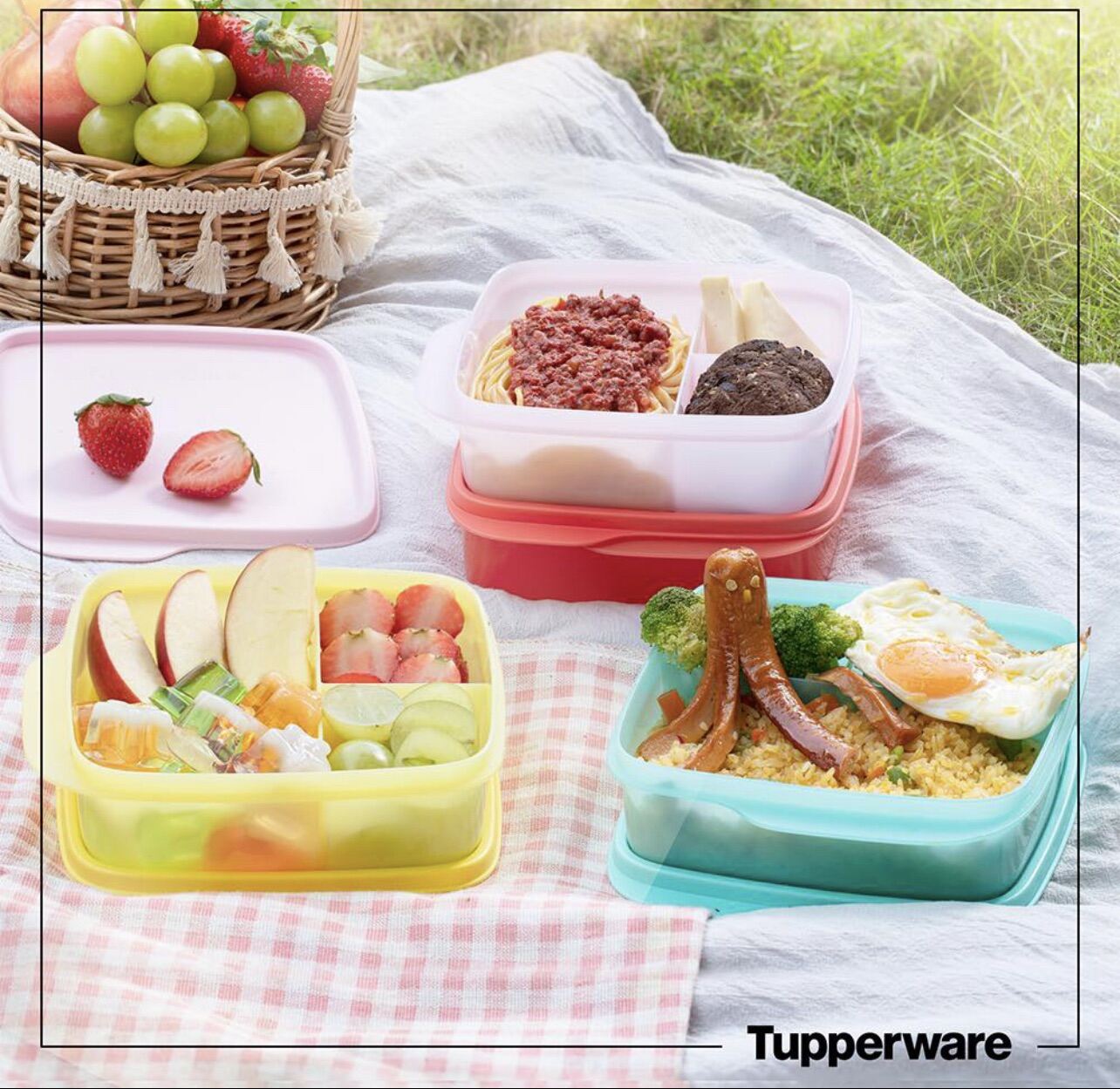 Hộp cơm Tupperware Lolly Tup 550ml