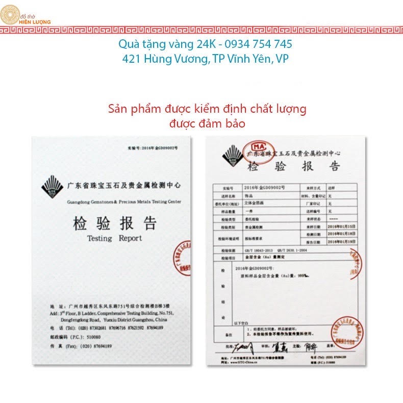 Cây Kim Ngân Dát Vàng vvv
