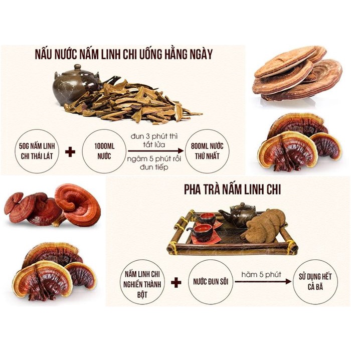 Premium Ganoderma Powder 100g - Tan Phat Herbal Medicine