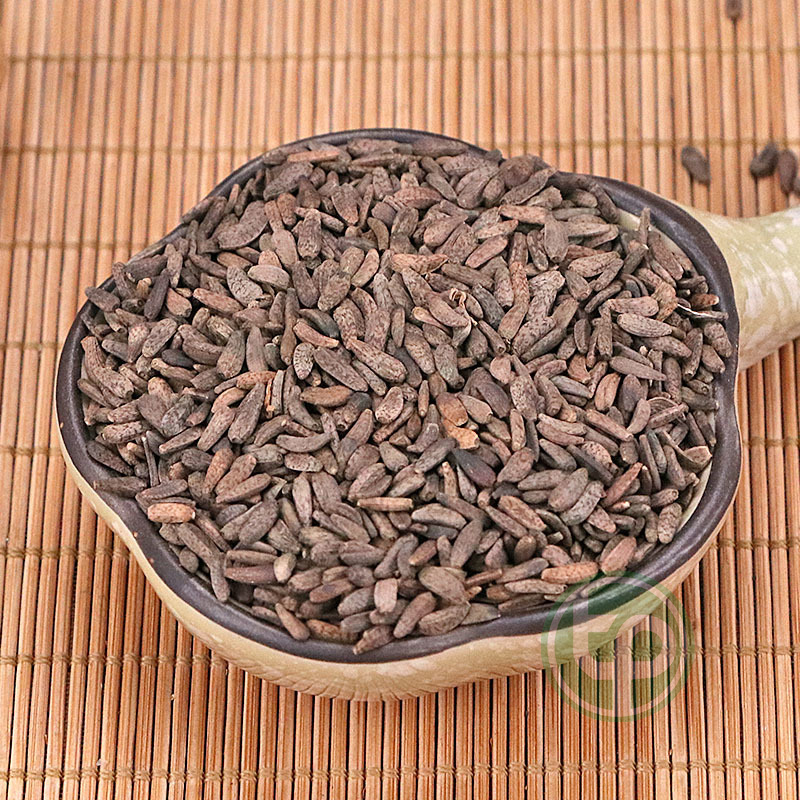 [HOT] Ngưu bàng tử khô 500g - Thảo Dược Tấn Phát