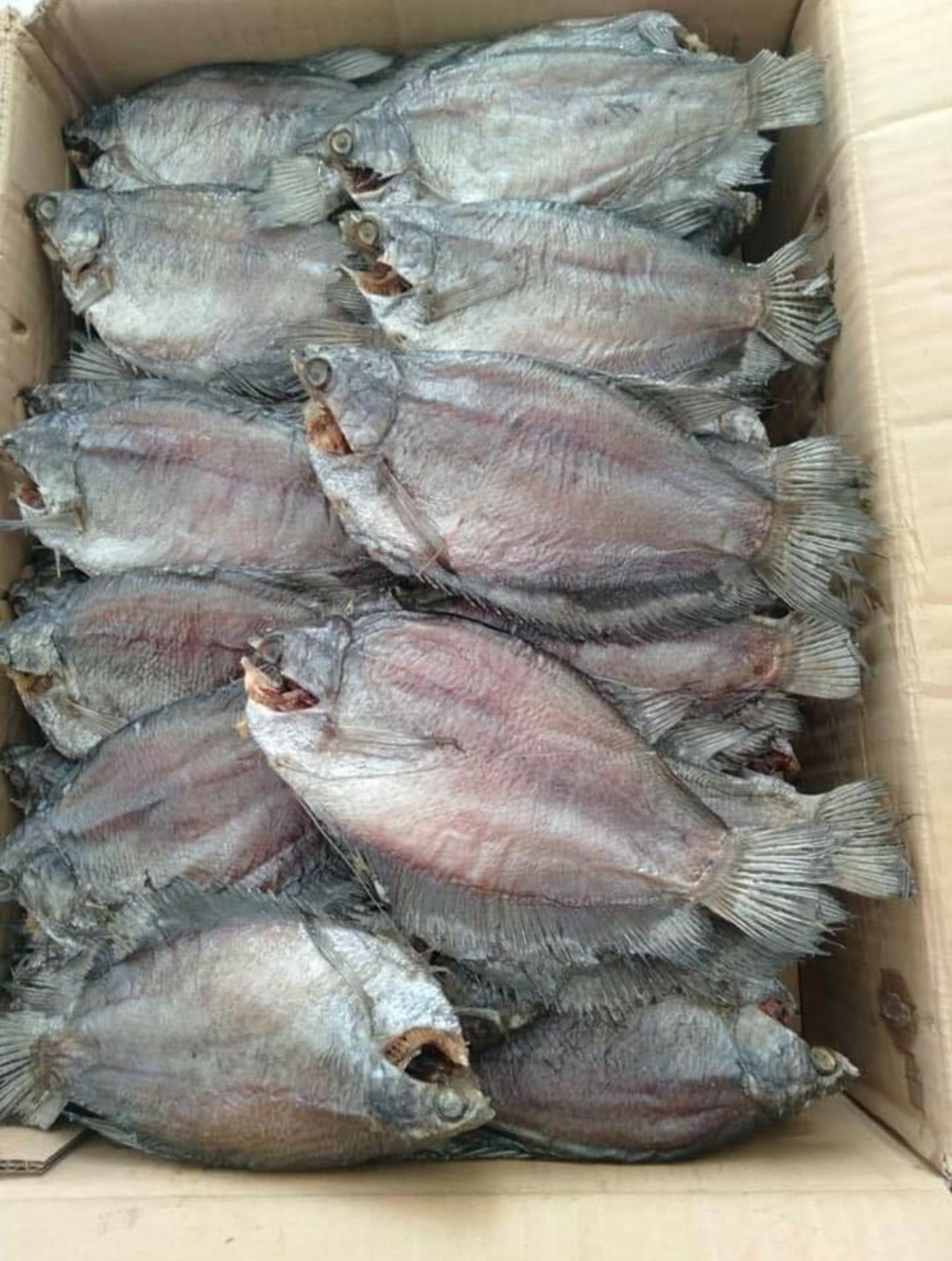 Khô sặc rằn U Minh - Cà Mau (8 con/500gam)