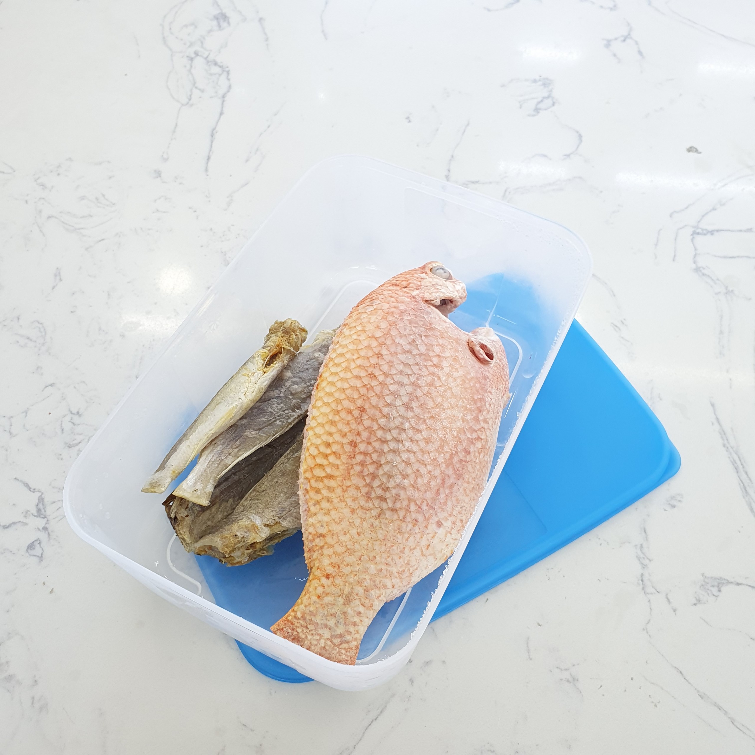 Set hộp trữ đông 1.5L Tupperware