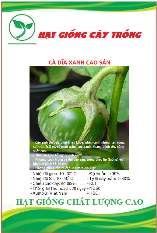 Hạt giống cà dĩa cao sản ct265 - gói 0.5gram