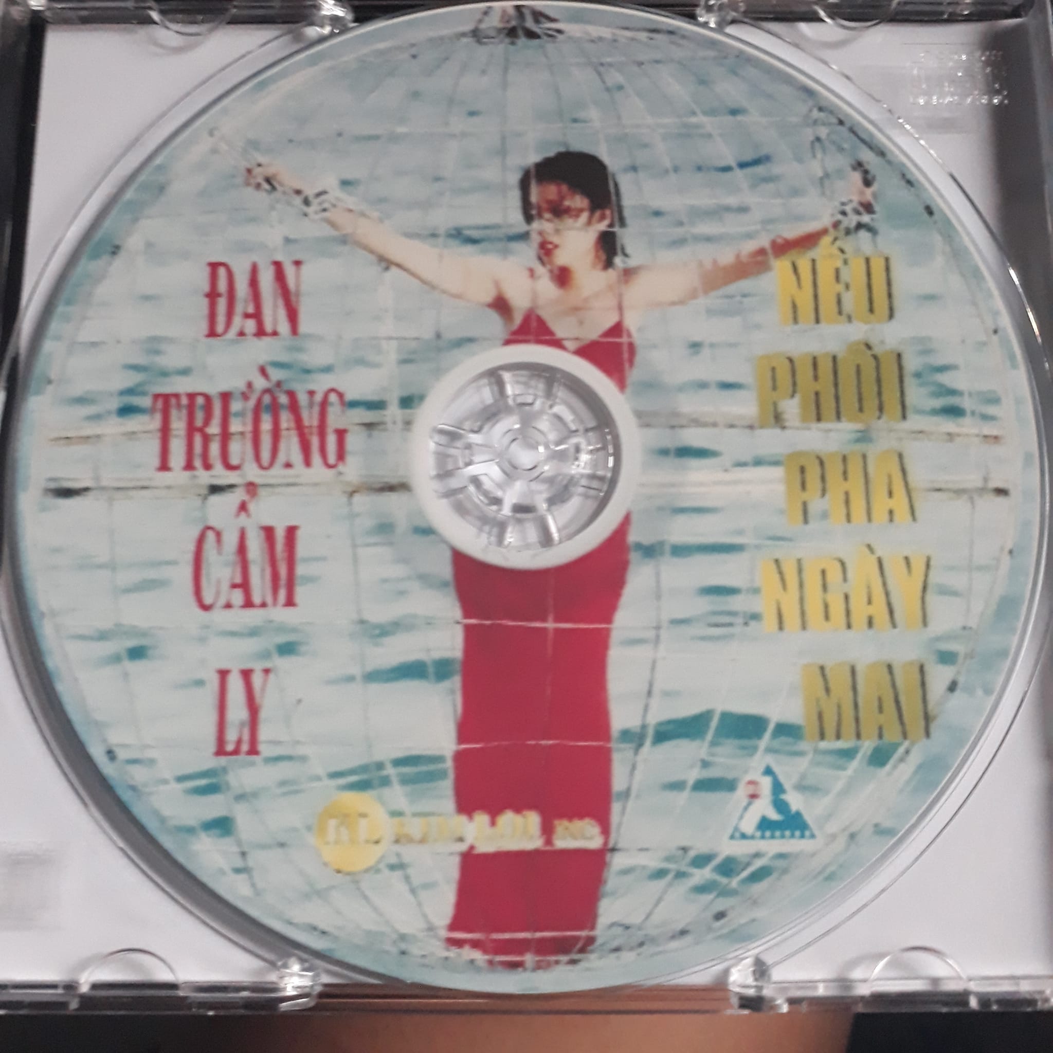 Đan Trường, Cẩm Ly - Nếu Có Phôi Pha