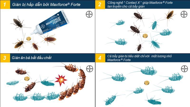 Gel diệt Gián đức Maxforce 20 gam - Đức
