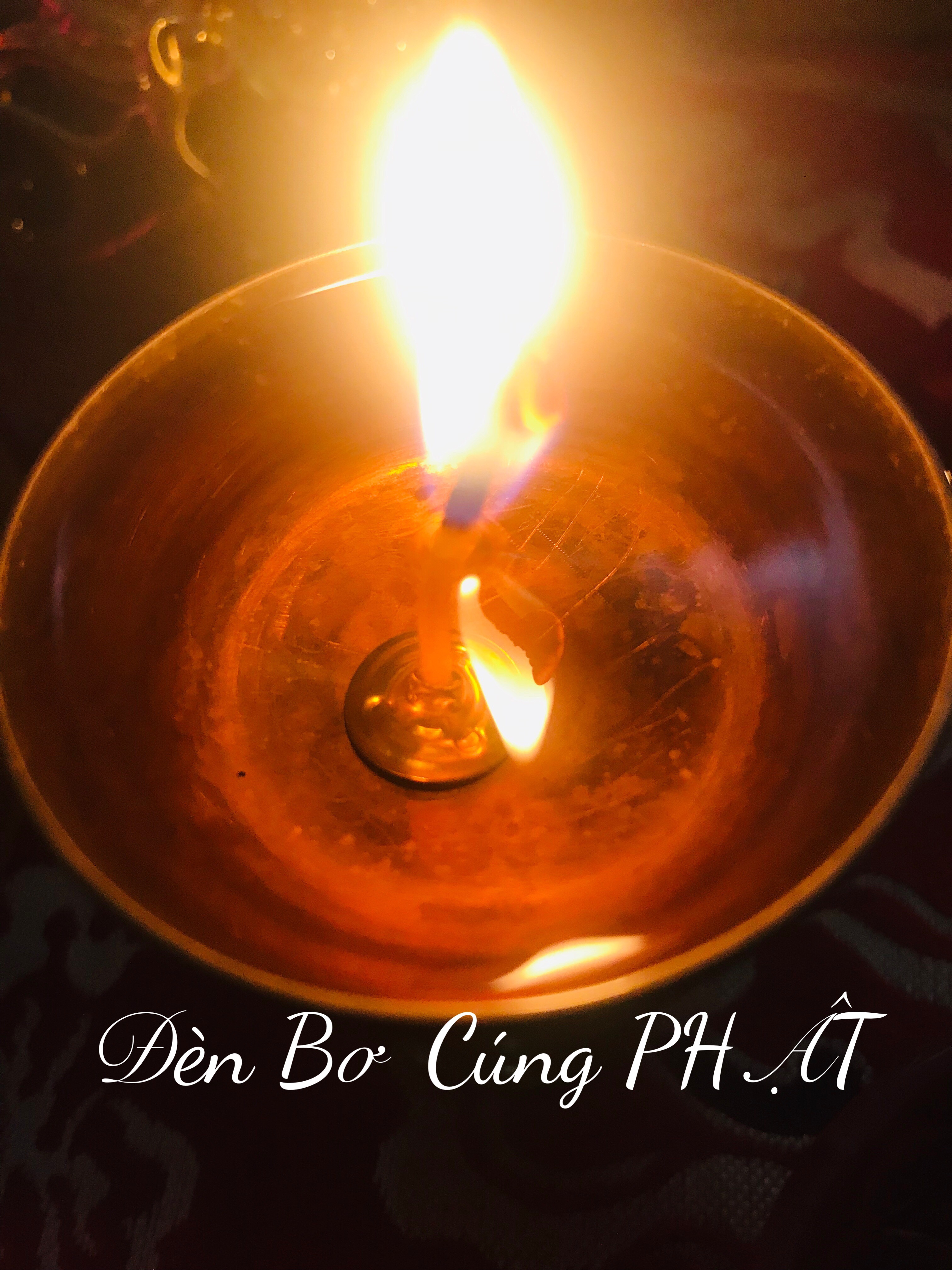 Đèn bơ cúng Phật JVALA - Dầu bơ Như Ý