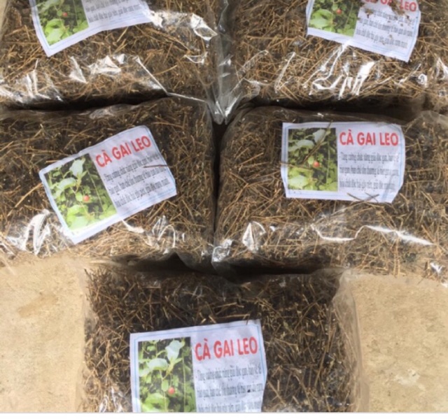 Cà gai leo khô đóng túi 1kg