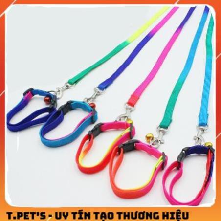 [HCM]Dây dắt chó bảy màu kèm vòng cổ