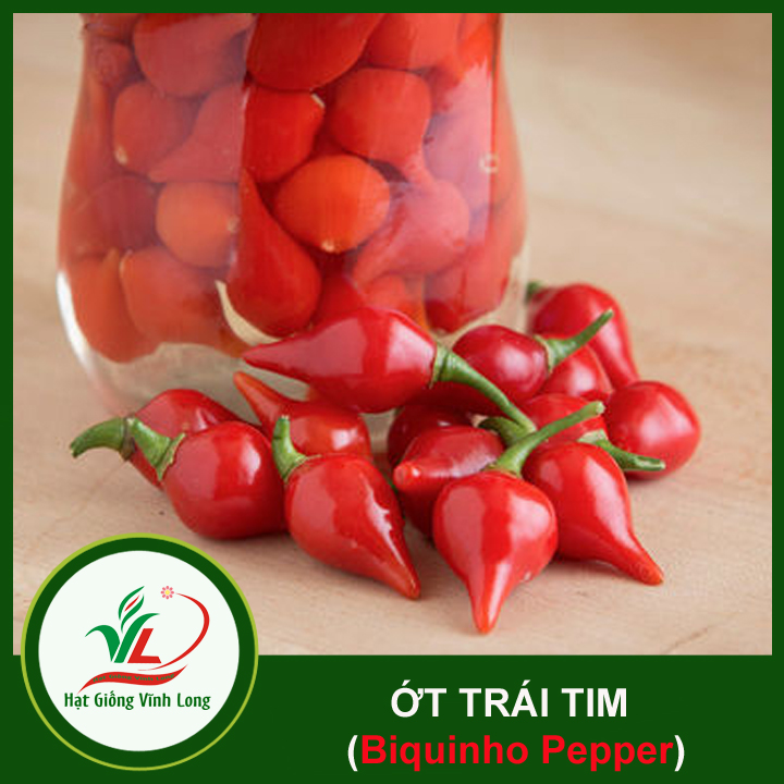 Hạt giống Ớt trái tim (hạt tự thu) - 15 hạt