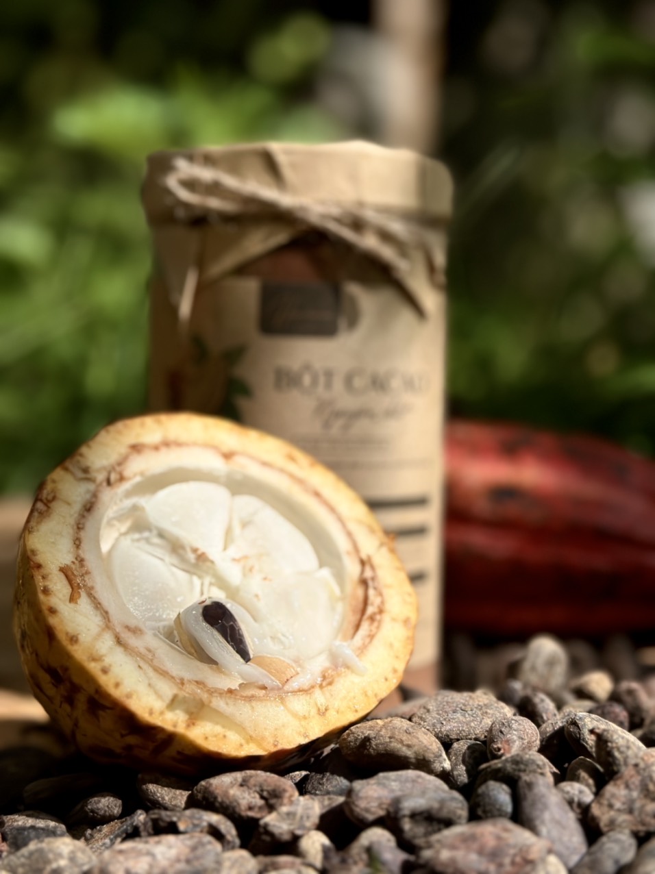 Bột cacao nguyên chất Hana Ban Mê