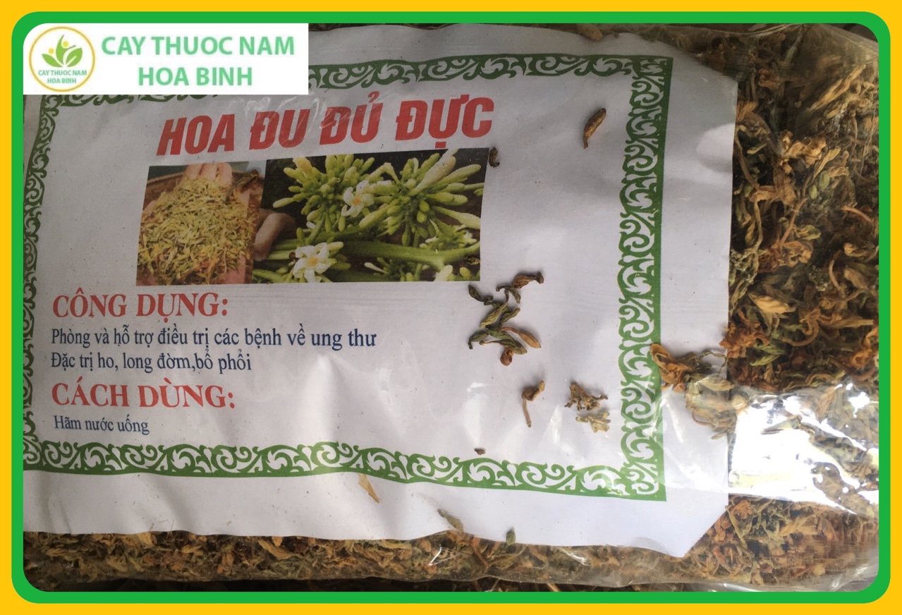 100g hoa đu đủ đực khô (đã sao vàng hạ thổ)
