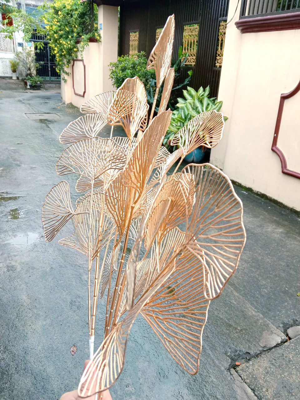 rẻ quạt, cành vàng trang trí tết