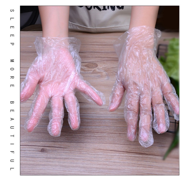 Disposable Nylon Gloves, Bag of 100 Pieces