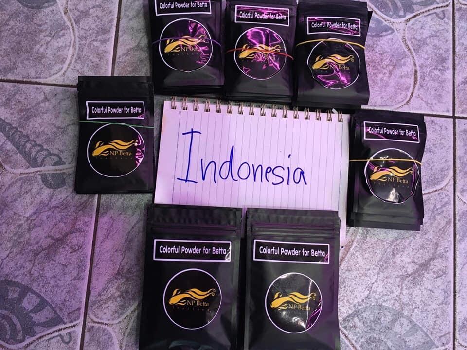 [HCM]Colorful Powder 25g - Bột dưỡng cá Betta Thái Lan