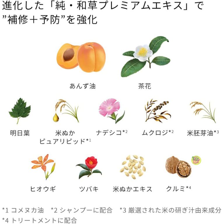 Bộ dầu gội ICHIKAMI - NHẬT NỘI ĐỊA
