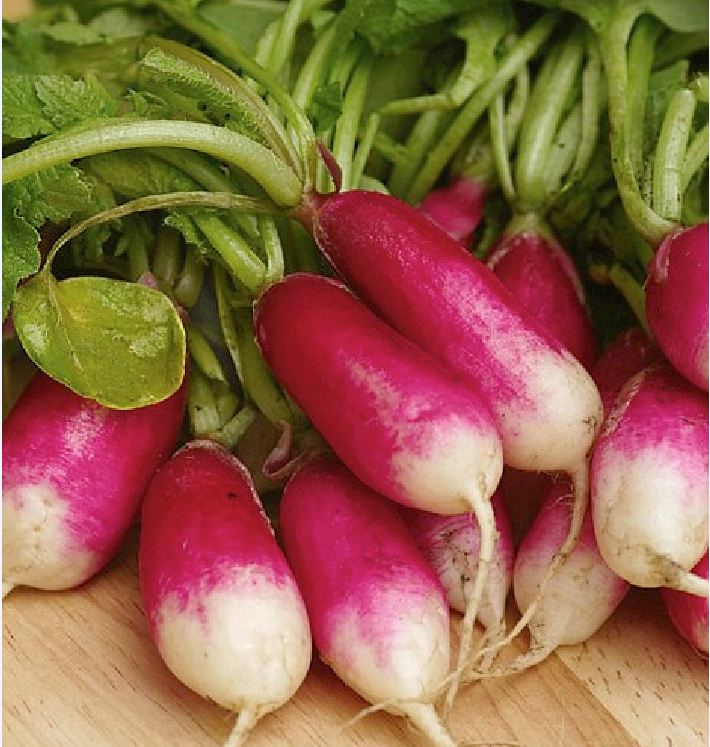 Hạt giống củ cải dài đỏ - Gói 2gram