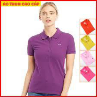 [HCM]Áo thun cá sấu Nữ Cao Cấp Cotton co giãn 4 chiều