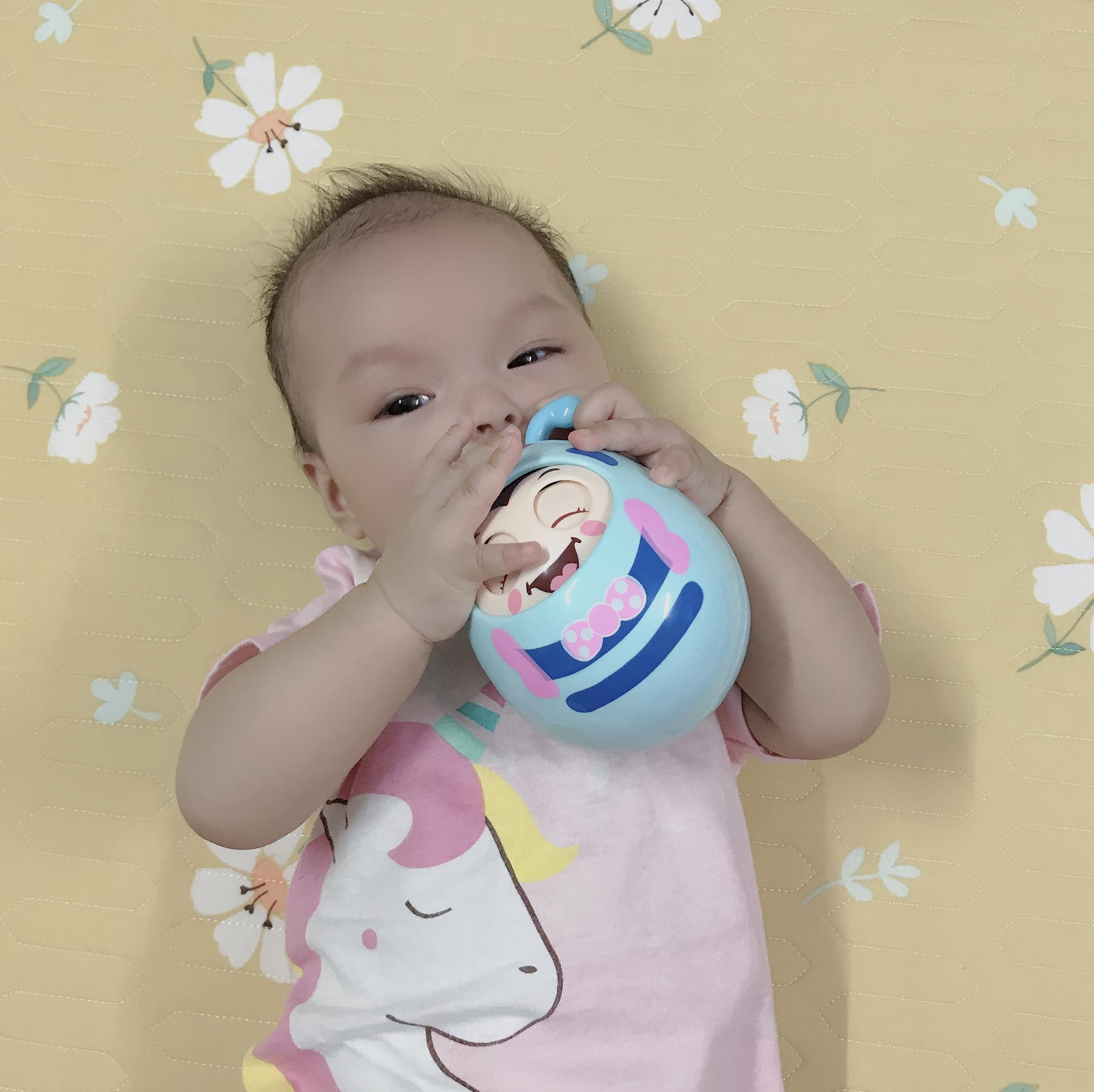 Đồ chơi lật đật thông minh Hinata DC45 Nhật