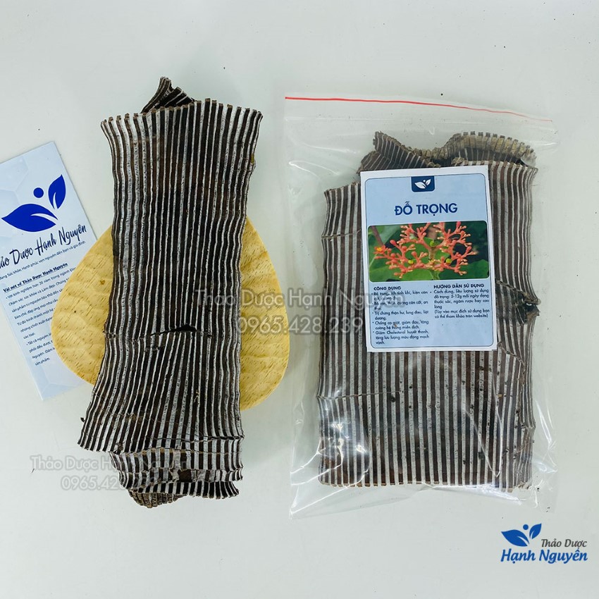 Đỗ trọng bắc khô 500g, miếng to, đẹp, hỗ trợ bổ can thận, mạnh gân cốt, giảm đau xương khớp