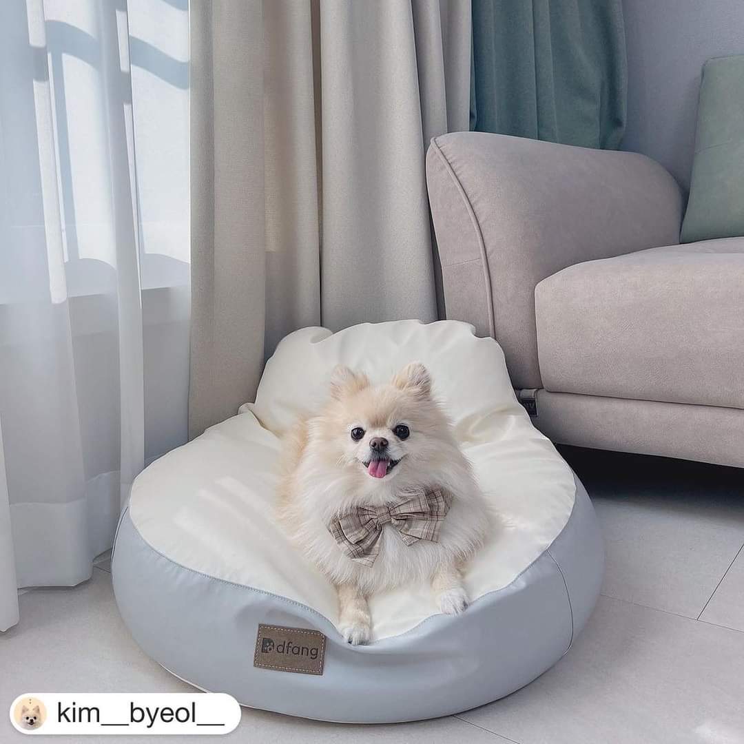 NIỆM NGỦ CHO THÚ CƯNG - Bean bags M & L