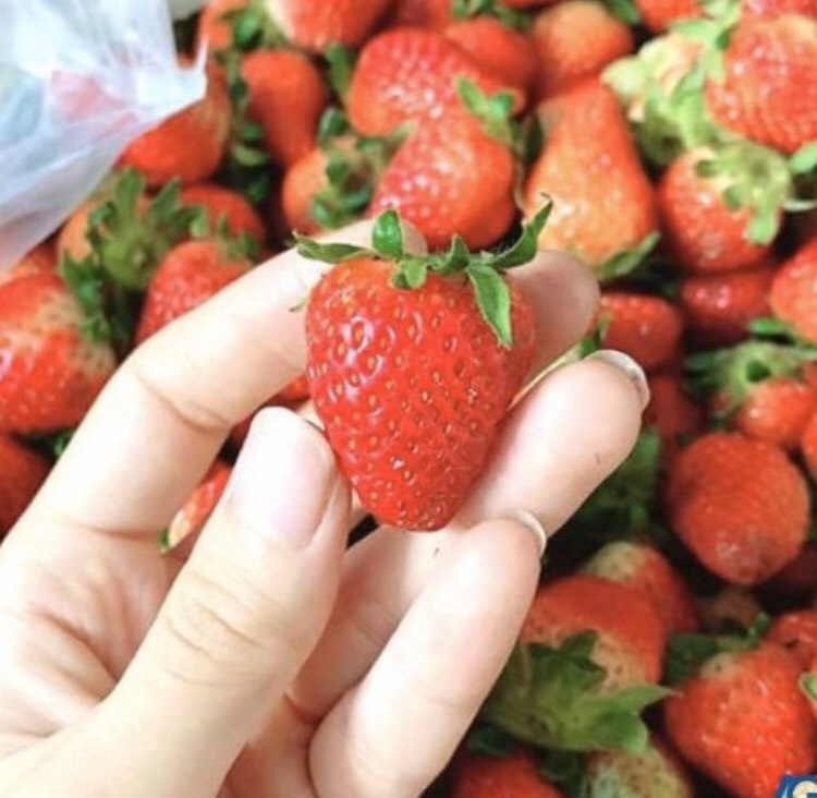 mức dâu đà lạt nguyên trái 500g