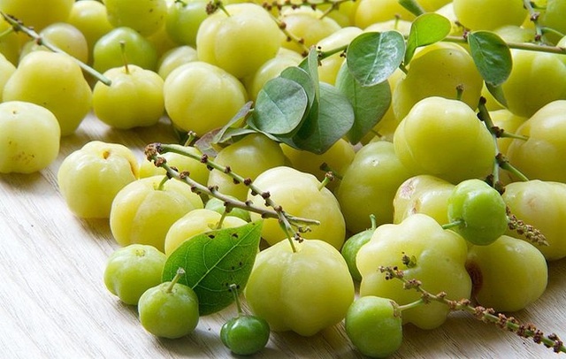 Cây giống Chùm Ruột Ngọt Siêu Trái (Tầm duột ngọt siêu trái)