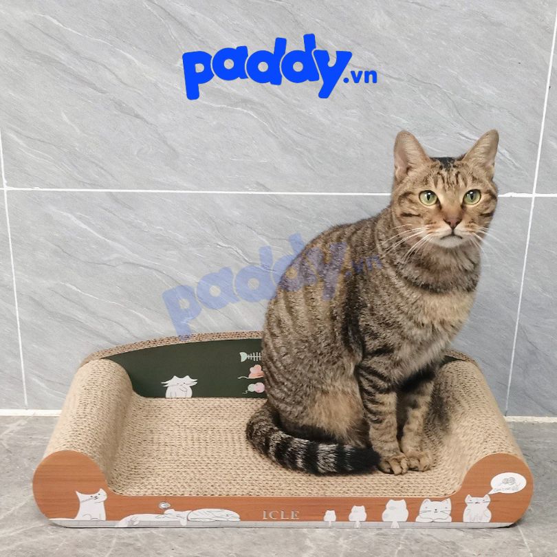 Bàn Cào Móng Mèo Giấy (Tặng Cỏ Mèo Catnip)