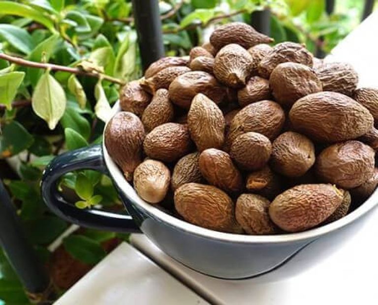 [HCM]Hạt đười ươi pha trà nước giải khát 1kg