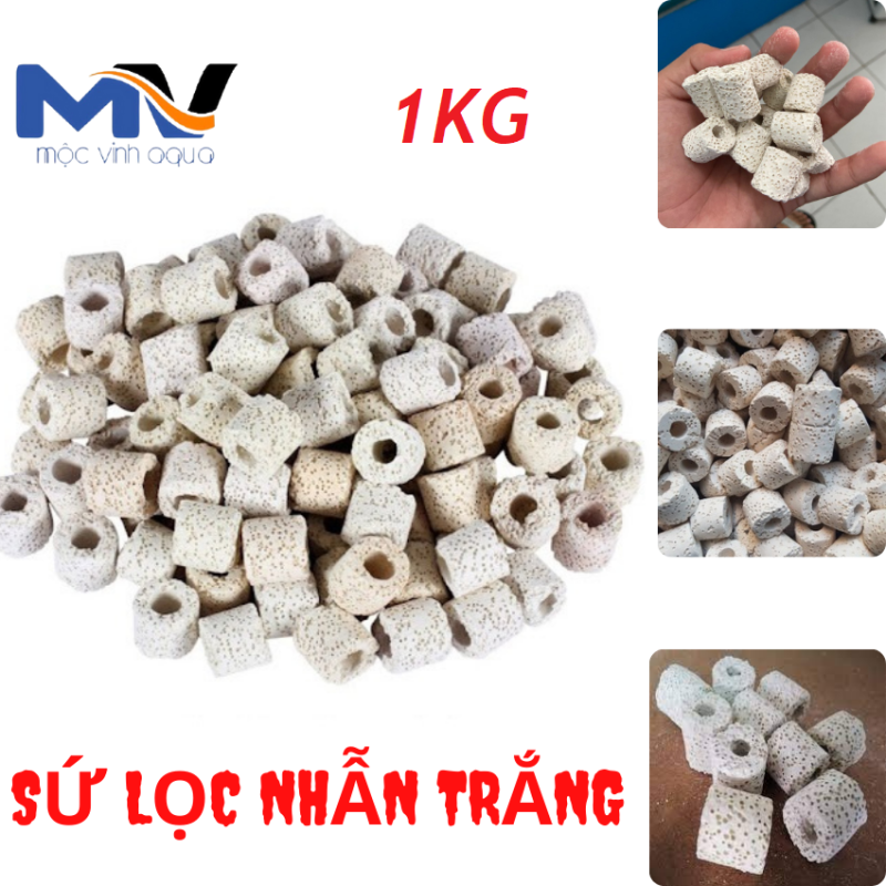 SỨ LỌC NHẪN TRẮNG GÓI 1KG KHẢ NĂNG NUÔI VI SINH HIỆU QUẢ GIÁ THÀNH THẤP | CỬA HÀNG CÁ CẢNH VÀ THIẾT BỊ LỌC NƯỚC HỒ CÁ MỘC VINH AQUA