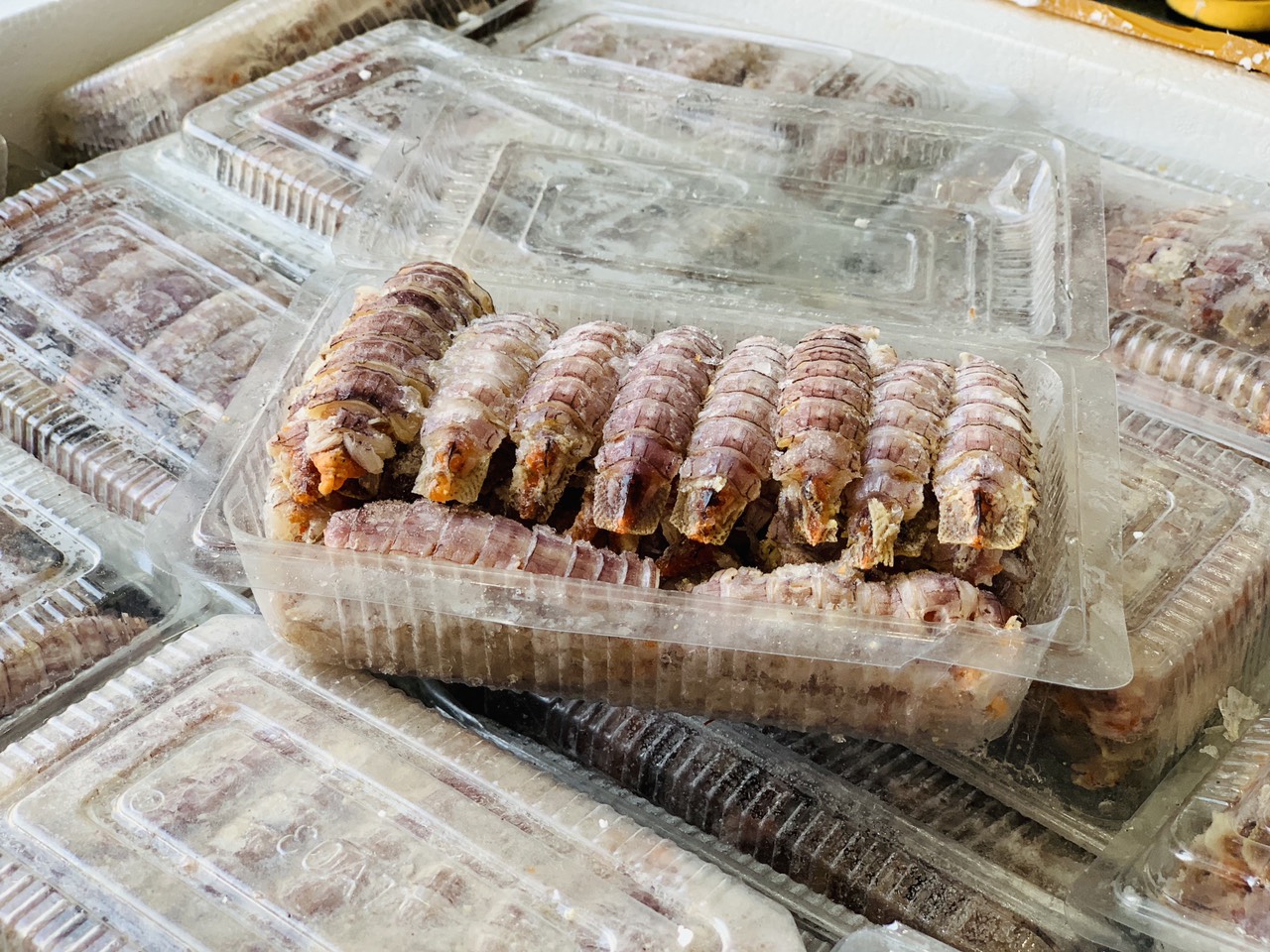 [GIAO NHANH 2H HCM] Giá Sỉ 1Kg Tôm Tít Gạch