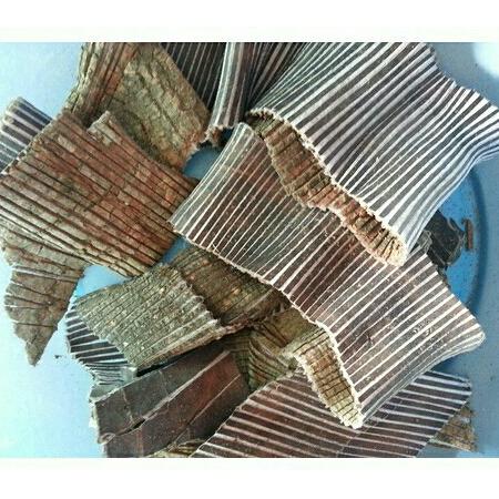 1kg đỗ trọng