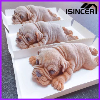 Mua cho shar pei ở đâu? Nơi bán cho shar pei giá rẻ, uy tín, chất 