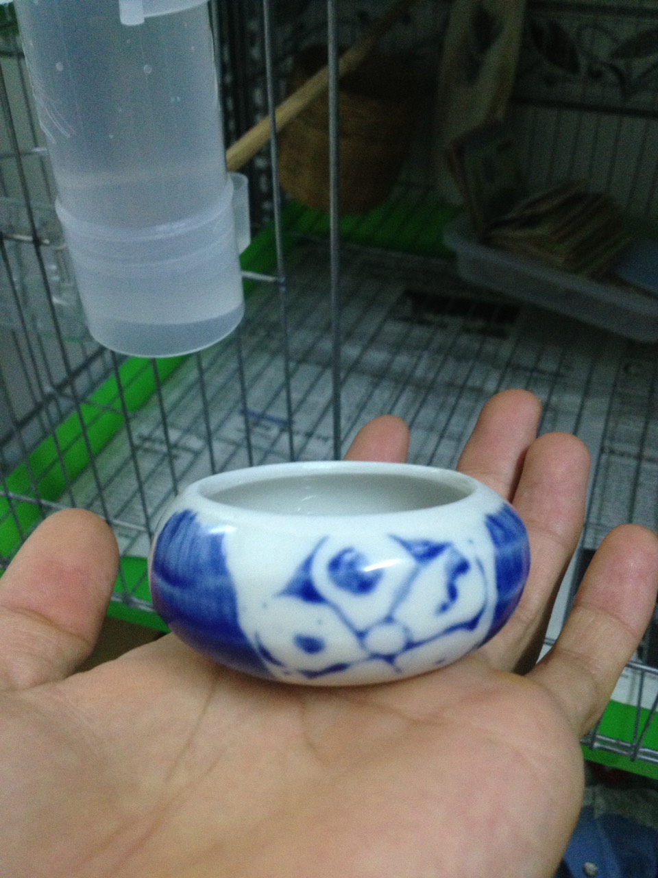 cóng gốm sứ đựng thức ăn cho chim yến hót