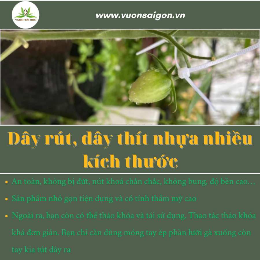 Dây rút cố định giàn leo, vật dụng gia đình (Vườn Sài Gòn - Vuon Sai Gon)