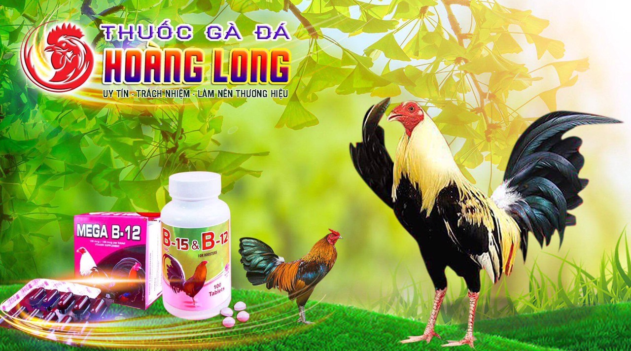 Martylan khò khè cho gà đá